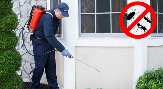 Çağlayancerit Fare İlaçlama böcek ilaçlama ve haşere kontrolü — ilaclama-tr.com